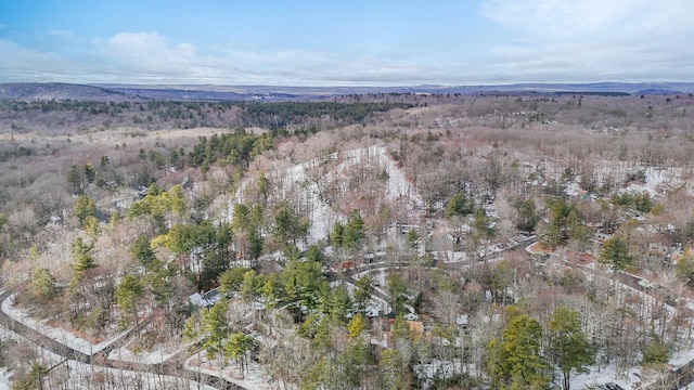 birds eye view of property featuring a wooded view