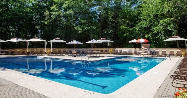 community pool featuring a patio area