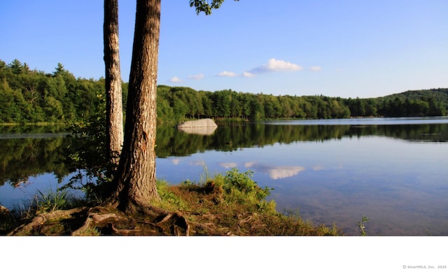 property view of water featuring a wooded view