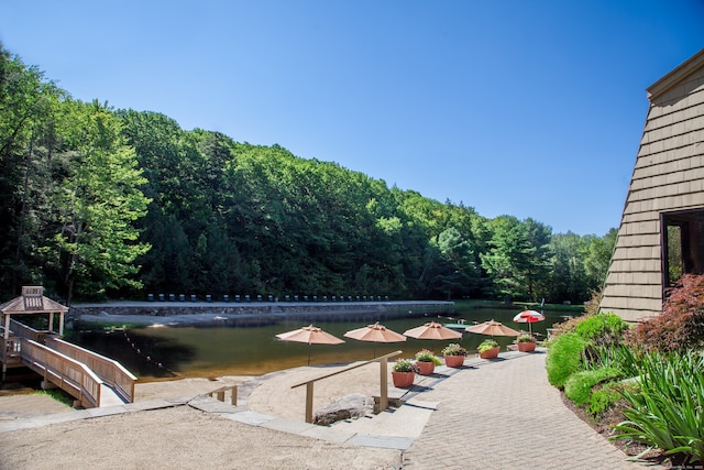 view of yard featuring a forest view