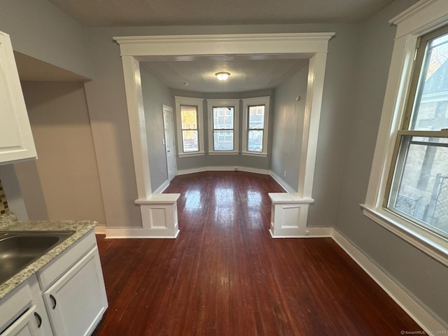 interior space featuring dark hardwood / wood-style flooring and sink