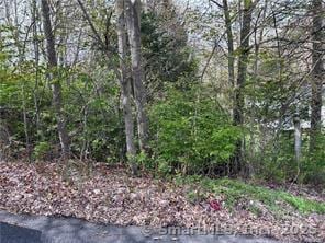 0 Saugus Ave, Watertown CT, 06779 land for sale