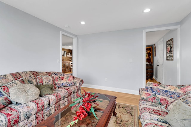 living room with wood-type flooring