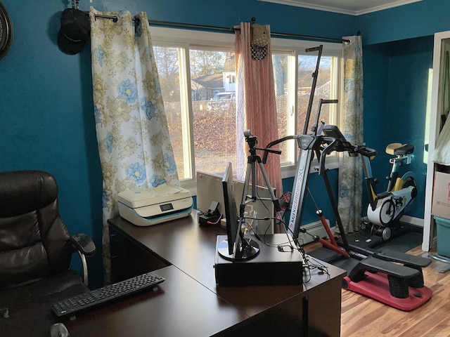 workout area with plenty of natural light and wood-type flooring