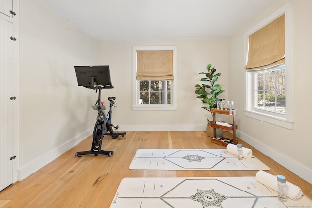 workout area featuring hardwood / wood-style floors