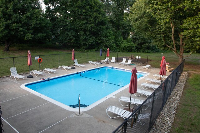 view of pool with a patio and a lawn