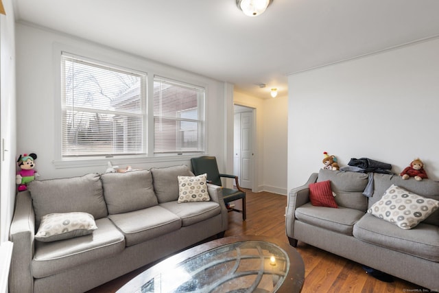 living room featuring hardwood / wood-style floors