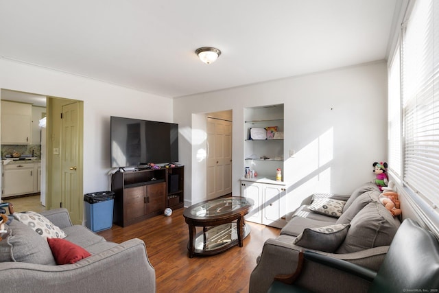 living room featuring dark hardwood / wood-style flooring