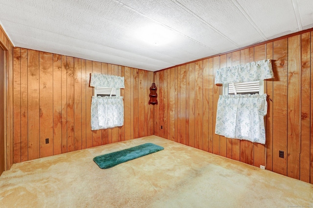 empty room featuring carpet flooring and wood walls