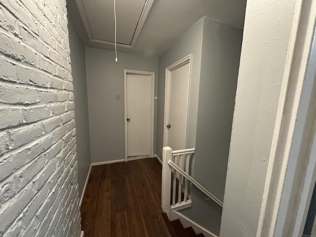 hallway featuring brick wall and dark hardwood / wood-style flooring