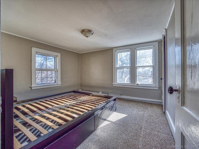 bedroom with ornamental molding and carpet flooring