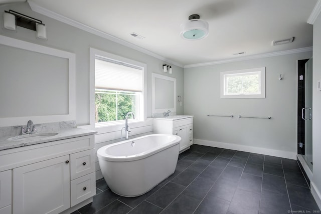 bathroom with a wealth of natural light, visible vents, and a sink