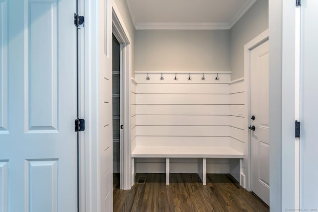 mudroom with crown molding and dark hardwood / wood-style floors