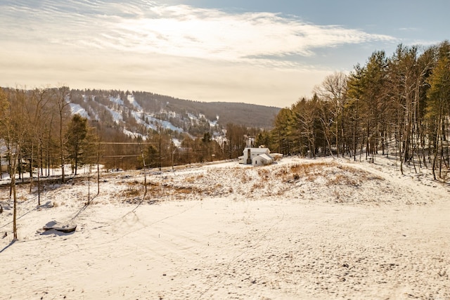 view of snow covered land with a mountain view