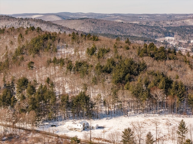 view of mountain feature