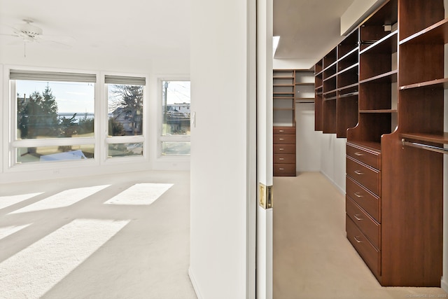 walk in closet with light colored carpet