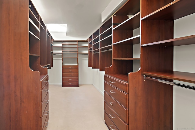 spacious closet with light colored carpet