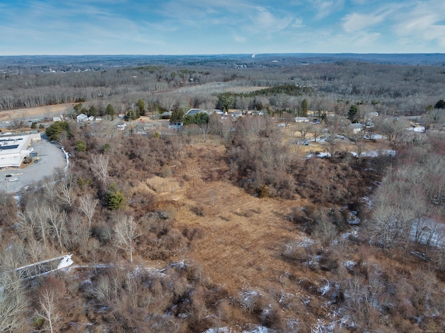 523 Voluntown Rd, Griswold CT, 06351 land for sale