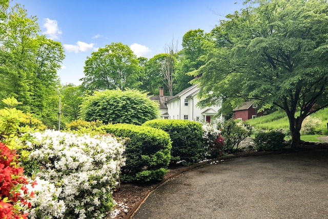 247 Mill Rd, New Canaan, CT 06840 - view of yard