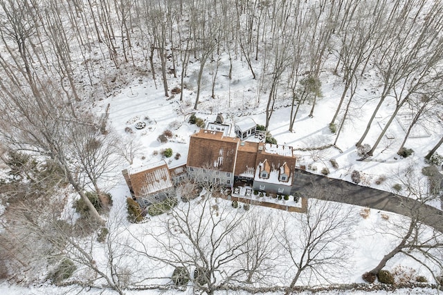 view of snowy aerial view