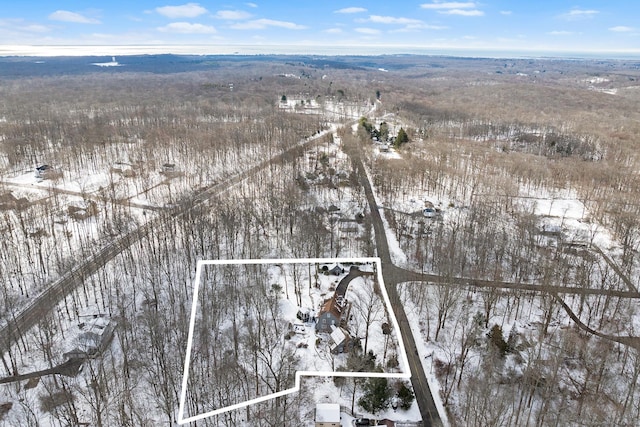 view of snowy aerial view