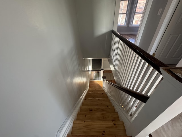 stairs with hardwood / wood-style flooring