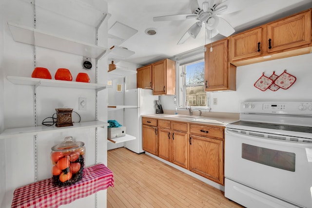 kitchen with ceiling fan, white appliances, light hardwood / wood-style floors, and sink