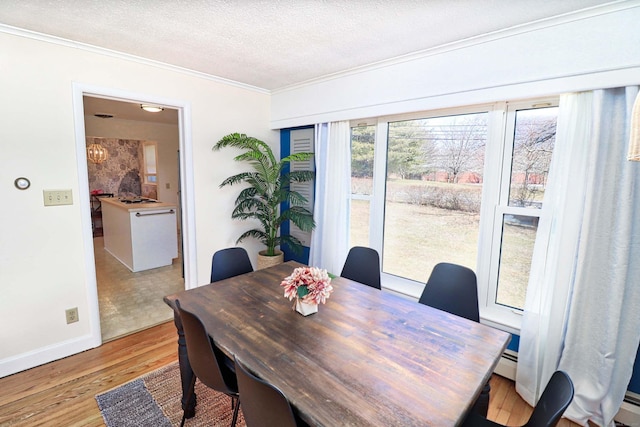 dining area featuring crown molding, light hardwood / wood-style flooring, and a textured ceiling