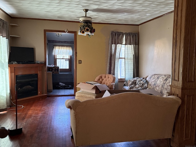 living area with ornamental molding, a fireplace with raised hearth, and hardwood / wood-style flooring