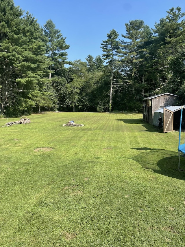 view of yard featuring a shed