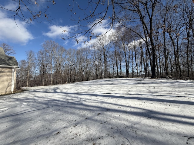 view of snowy yard