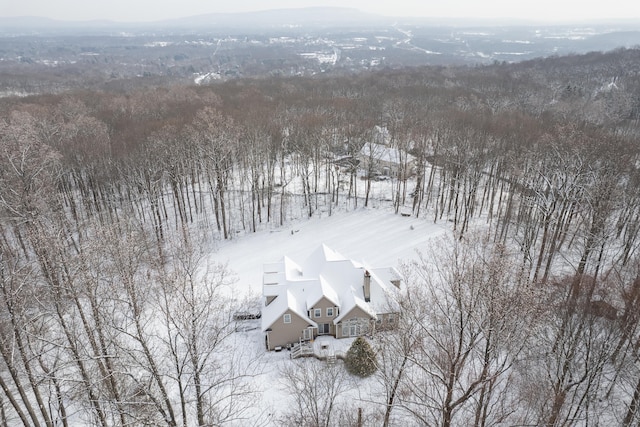 view of snowy aerial view