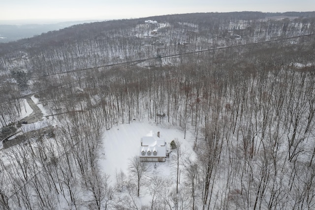 view of snowy aerial view