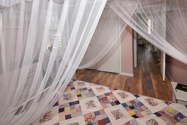 interior space with dark wood-type flooring