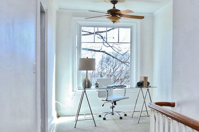 office with ornamental molding and a ceiling fan