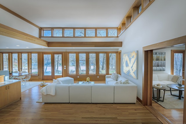 living room featuring light hardwood / wood-style floors and a high ceiling