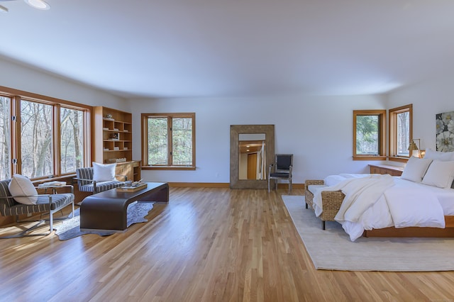 bedroom featuring light hardwood / wood-style floors