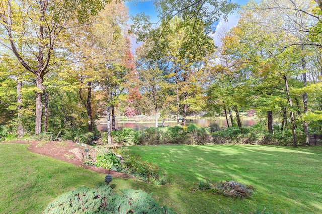 view of yard featuring a water view