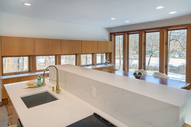 kitchen with sink, a wealth of natural light, and a center island with sink