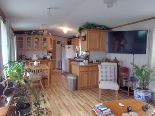 living room with lofted ceiling and light hardwood / wood-style floors