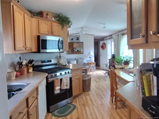 kitchen with ceiling fan, appliances with stainless steel finishes, sink, and light hardwood / wood-style flooring