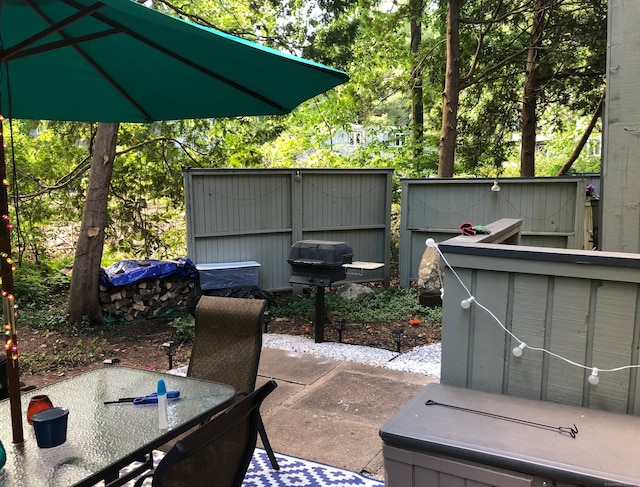 view of patio / terrace with grilling area