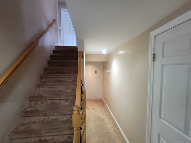 stairway featuring carpet floors