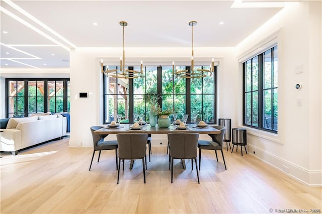 dining room with a chandelier and light hardwood / wood-style flooring