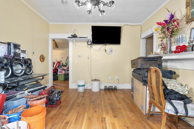 miscellaneous room featuring ornamental molding and light wood-type flooring