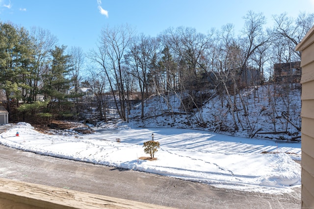 view of snowy yard