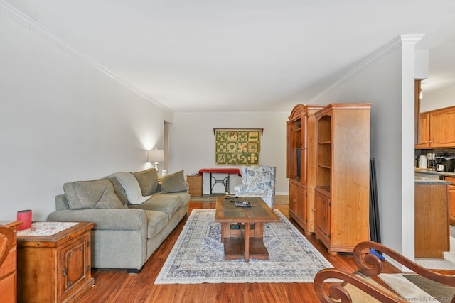 living room featuring crown molding and light hardwood / wood-style flooring