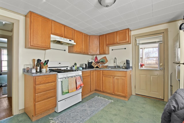 kitchen featuring sink, a wealth of natural light, and white appliances