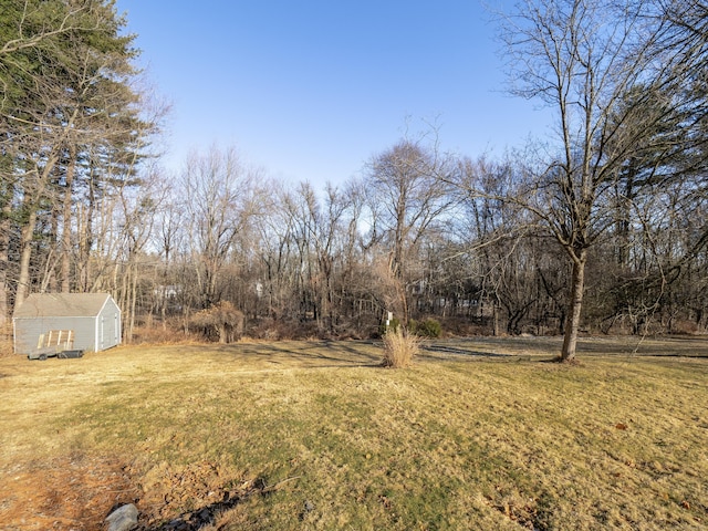 view of yard featuring a storage unit