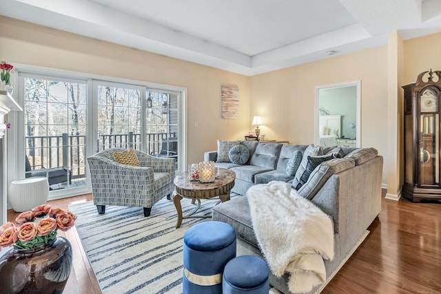 living room with hardwood / wood-style flooring and a raised ceiling